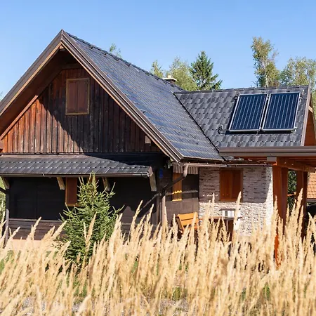 Mountain Hut Stara Hisa Chalet *