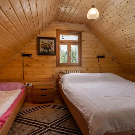 Mountain Hut Stara Hisa Chalet *