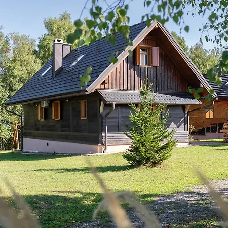 Chalet Mountain Hut Stara Hisa Kupjak