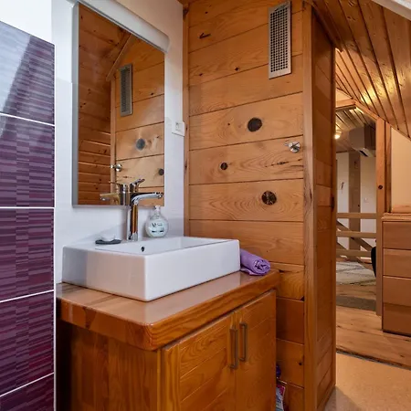 Chalet Mountain Hut Stara Hisa